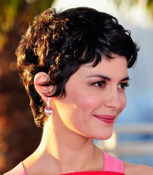 Chic curly pixie haircut 2023
