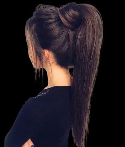 ponytail hairstyle 2023-2024