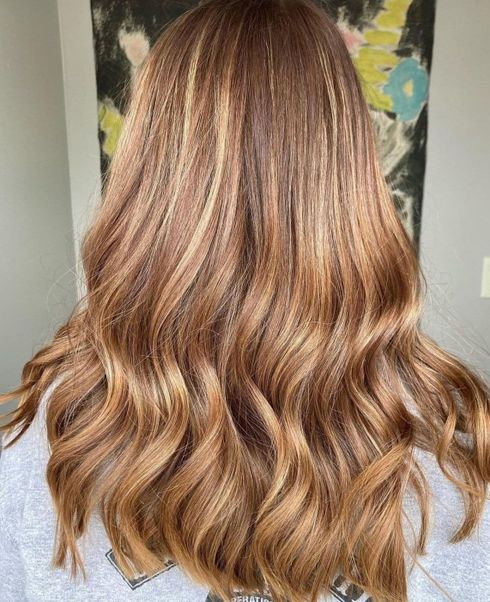 Light Brown Hair with Highlights