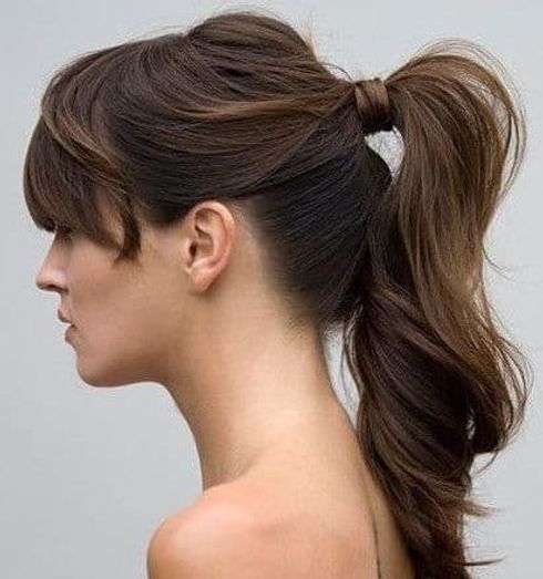 Ponytail hairstyles for women in 2022-2023