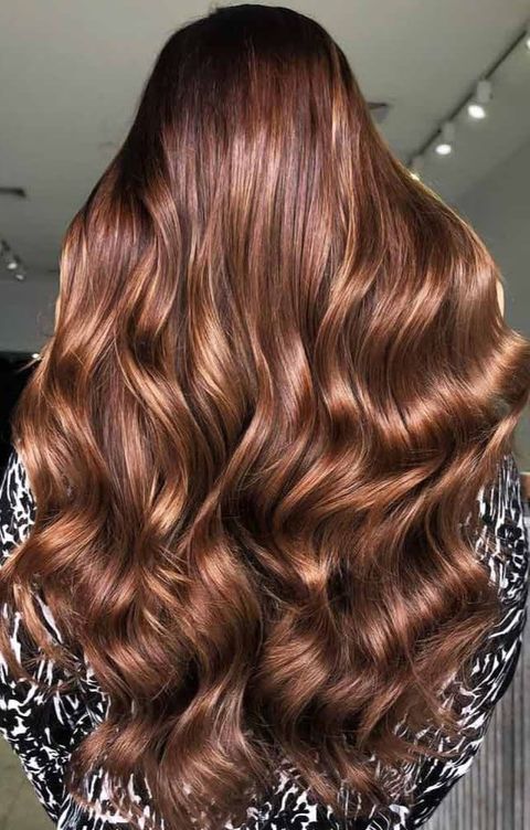 Golden Chestnut Brown