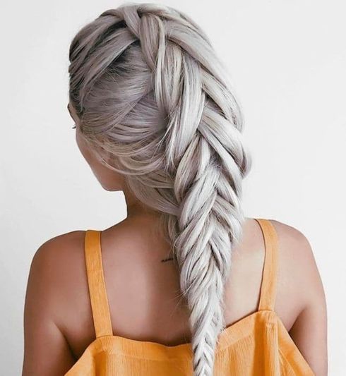 Ponytail fishtail braids 2022