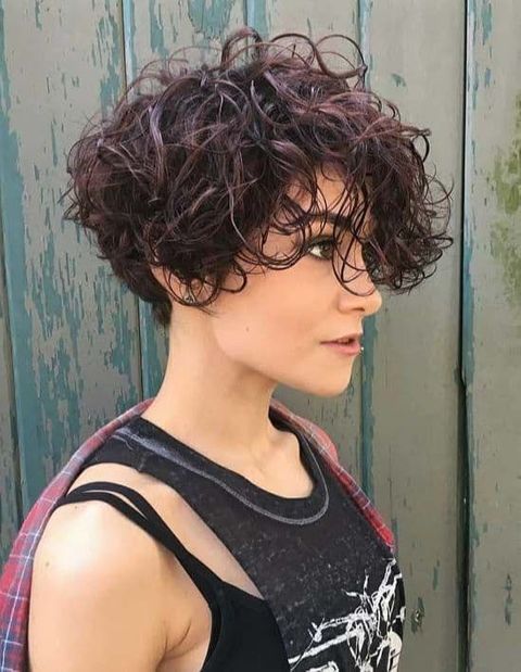 Pixie curly haircut 2021-2022